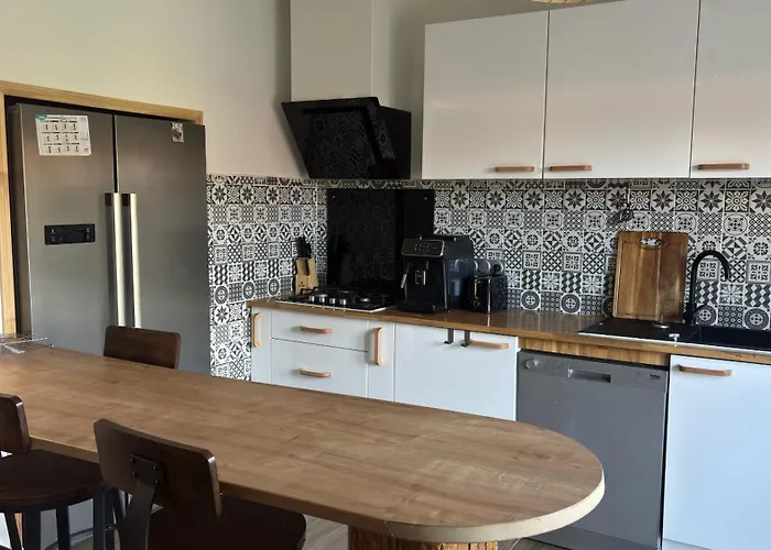 Maison Standing 5 Jardin Et Garage Vakantiehuis Aussillon